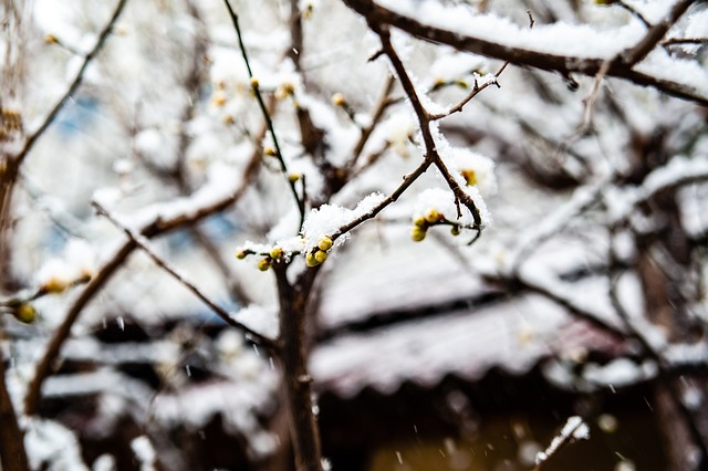 分线外