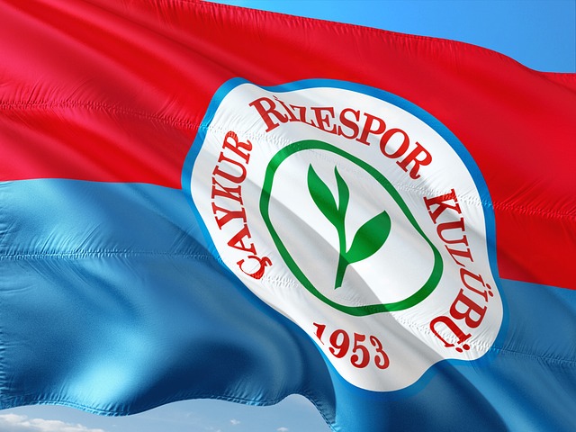 超高的篮球 超高的篮球