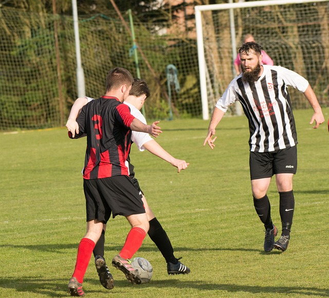 展现了极强 展现了极强