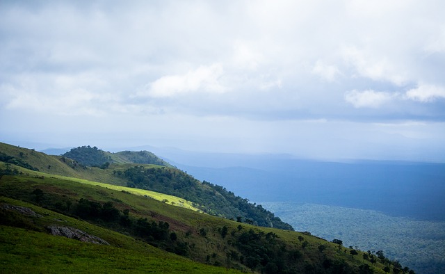 积极参与社 积极参与社