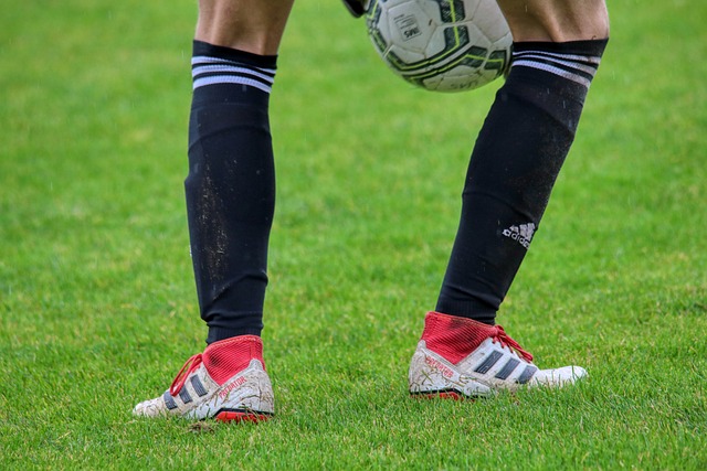 这位曾经将 这位曾经将