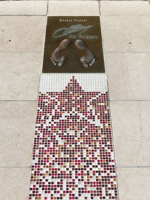 队的重任 队的重任