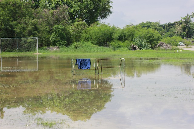 调灵活变通 调灵活变通