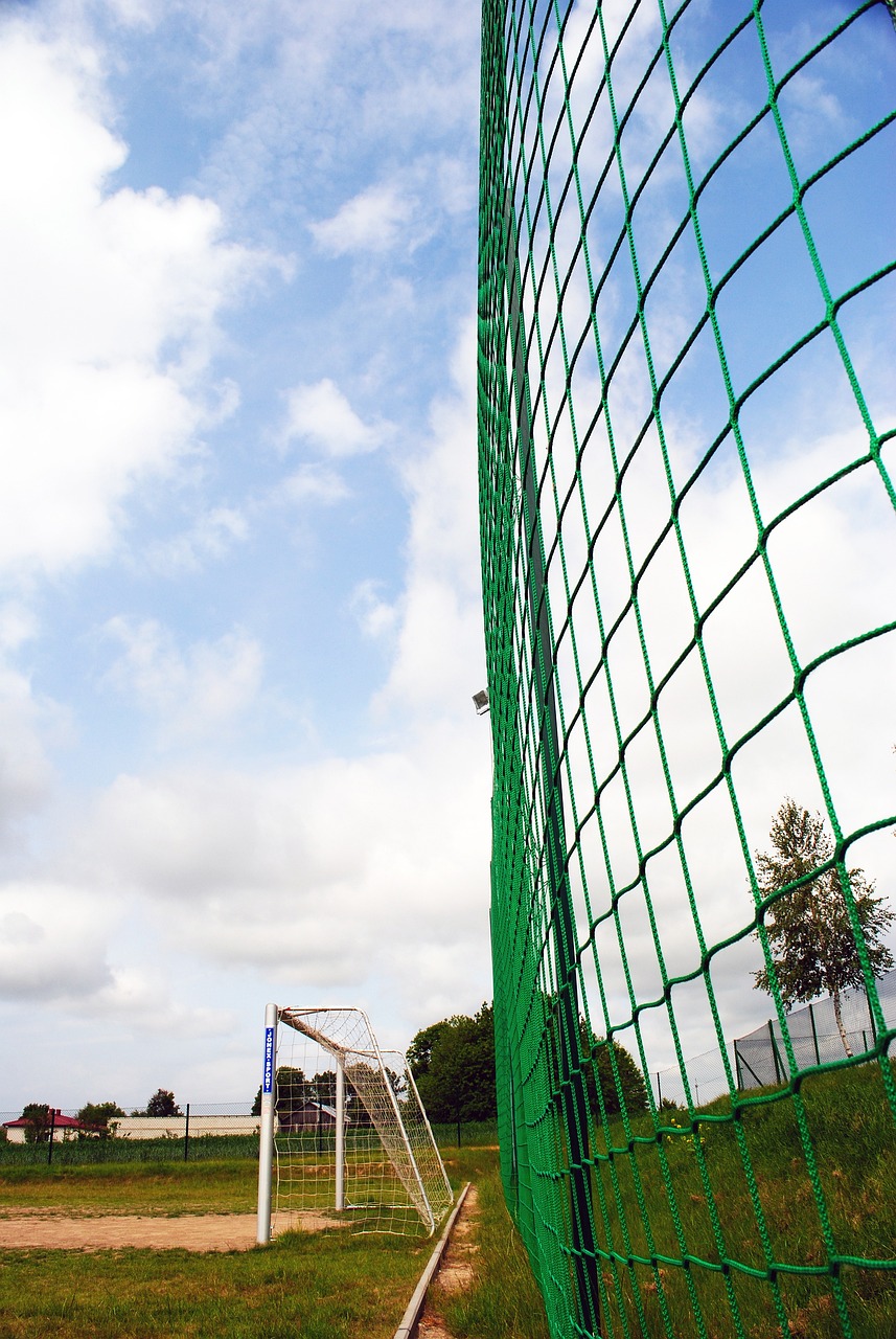 严谨的组织 严谨的组织